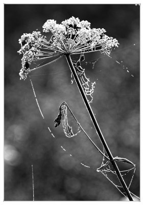 _small_03 Zellbachtal.JPG