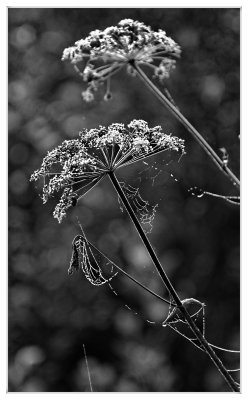 _small_04 Zellbachtal.JPG