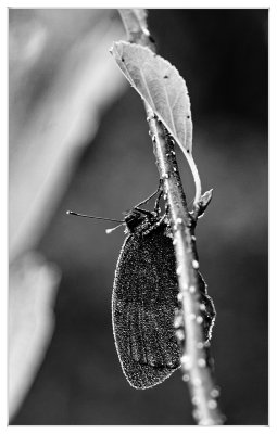 _small_06 Zellbachtal.JPG