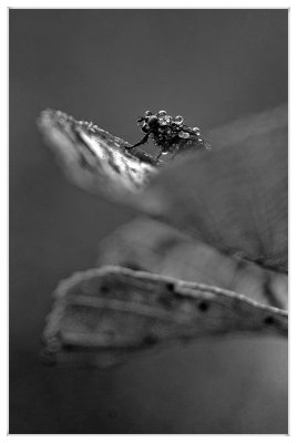 _small_07 Zellbachtal.JPG