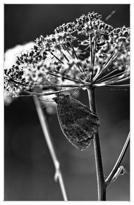 _small_10 Zellbachtal.JPG