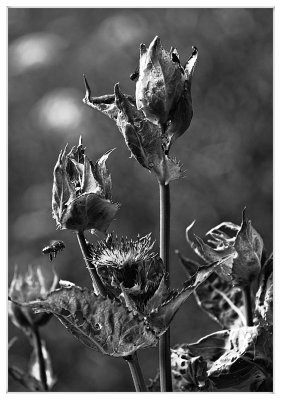 _small_12 Zellbachtal.JPG