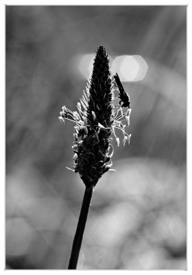 _small_13 Zellbachtal.JPG