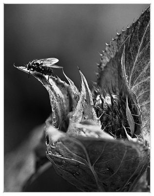 _small_14 Zellbachtal.JPG