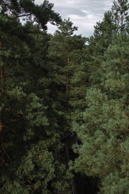 SDIM0903.jpg