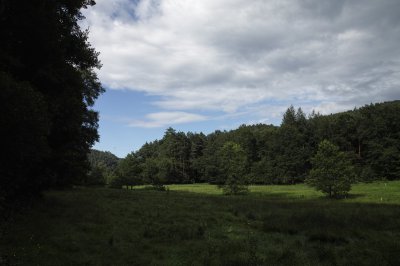 SDIM0937.jpg
