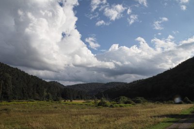 SDIM0970.jpg