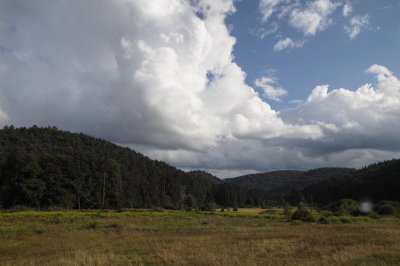 SDIM0971.jpg