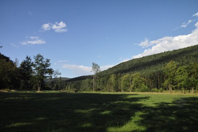 SDIM0978.jpg