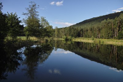 SDIM0981.jpg