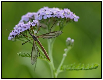 _small_22 Bairawies-Isarhochufer.JPG