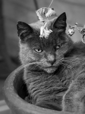 _IGP2844 - Arbeitskopie 2-Bearbeitet.jpg