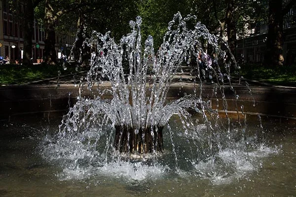 ci_K7PI8646.webp