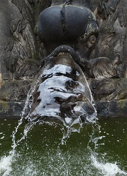 ci_SAM_2081.webp