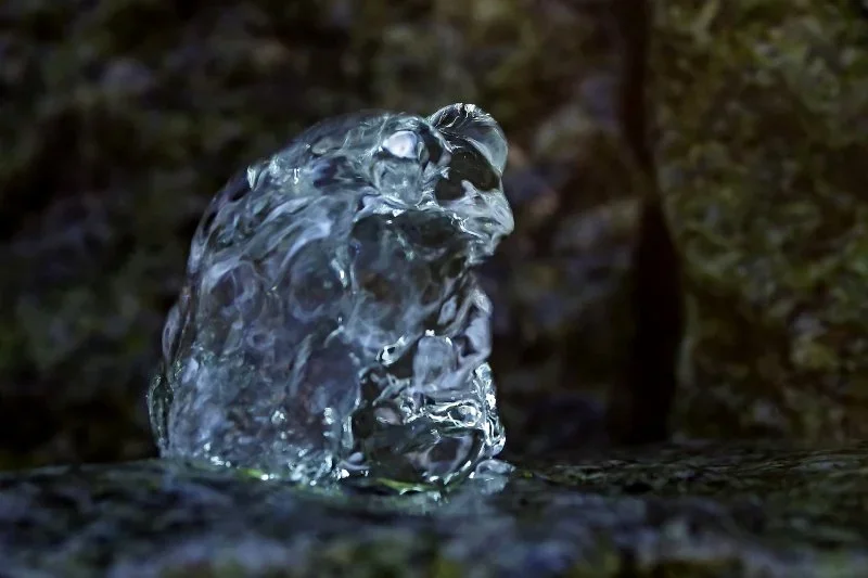 Eiskröte_filtered.webp