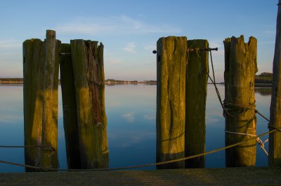 comp_IMGP1380-2.jpg