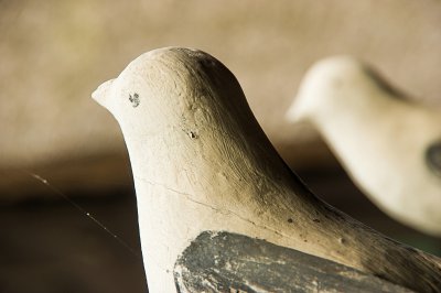 comp_IMGP2798-2 Kopie.jpg