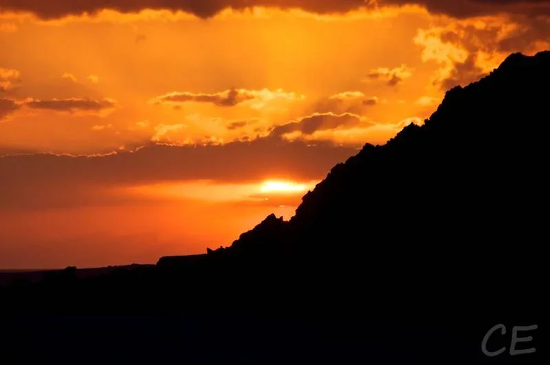 _IGP3721.webp