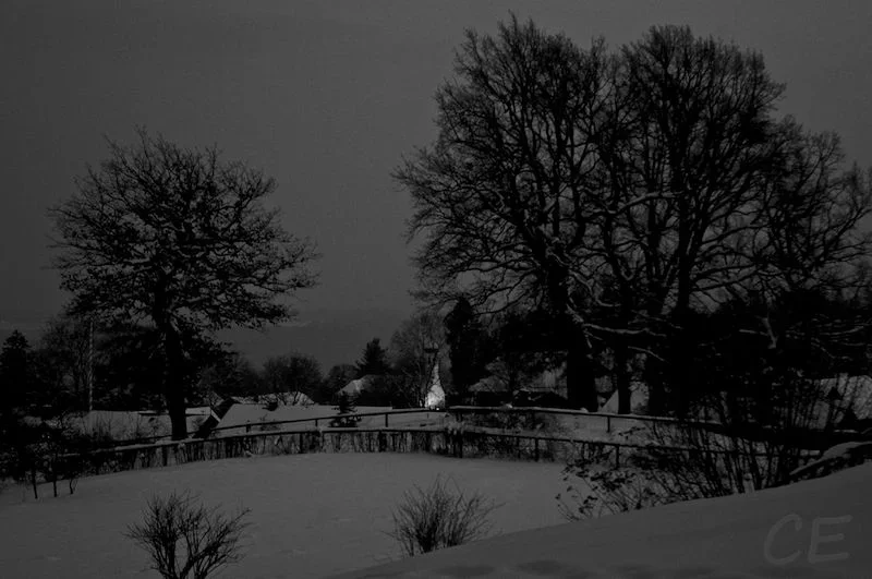 _IGP8667 - Arbeitskopie 2.webp