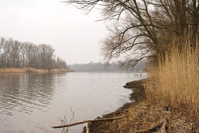 Lx1--1010038-z1.jpg Lx1--1010038-z1.jpg