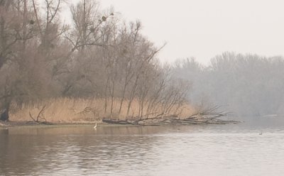 Lx1--1010038-z1-crop.jpg Lx1--1010038-z1-crop.jpg