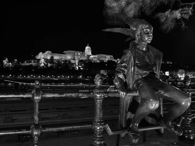 ci_IMGP3705.webp