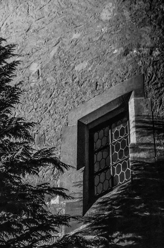 IMGP2901 Kopie 800 Altenburg.webp