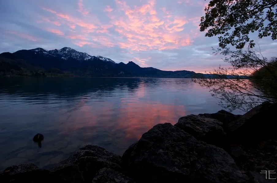 IMGP2907.webp