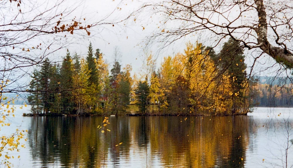 Herbstinsel_Ludvika.webp