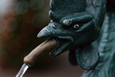 20141207_Erste Versuche D750_DSC_0169_109.jpg 20141207_Erste Versuche D750_DSC_0169_109.jpg