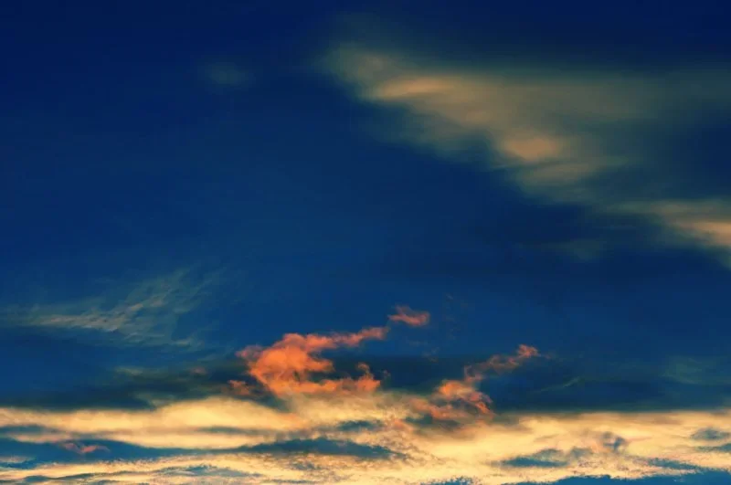 IMGP2886x.webp