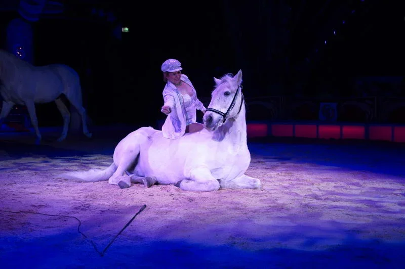 K3IM0158.webp