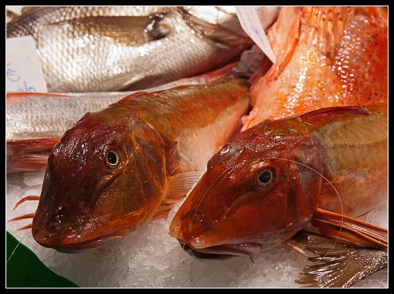 _small_Fisch Barca.webp
