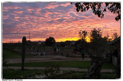 IMGP5509-Bearbeitet.jpg IMGP5509-Bearbeitet.jpg