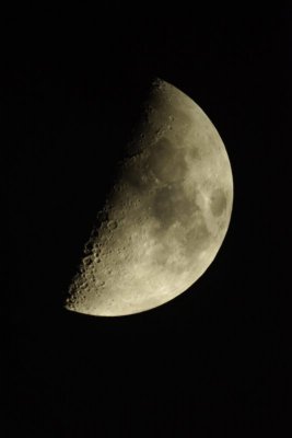 _IGP2211.JPG