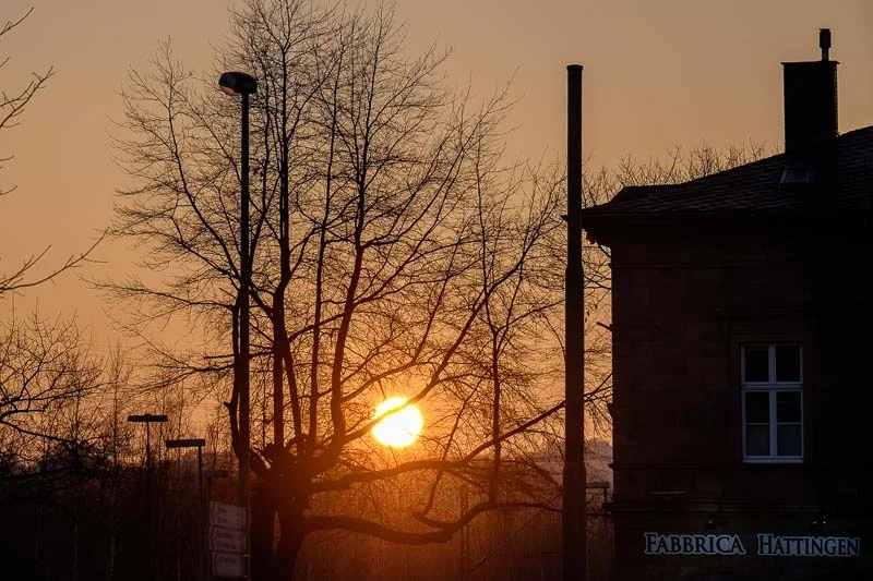 20150215-DSCF0588.webp