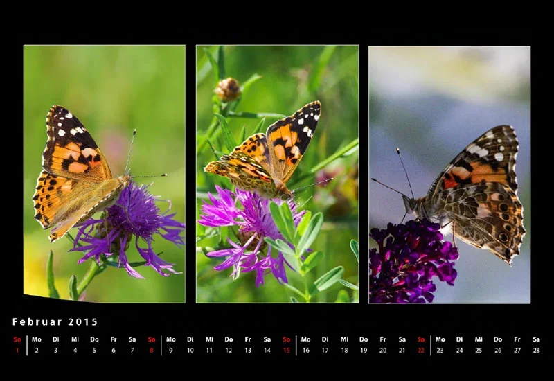 Februar 2 15.webp