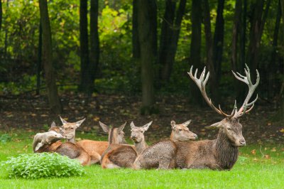 20140921_Tierpark Lange Erlen_DSC_1644_057.jpg