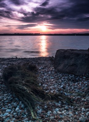 Strand_Gras_I.jpg