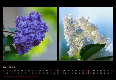 Mai 2 15.jpg Mai 2 15.jpg