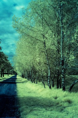 20150503_IR_Rieselteiche_BS_011_01.jpg
