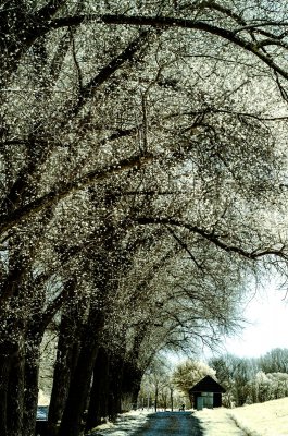 20150503_IR_Rieselteiche_BS_016_01.jpg