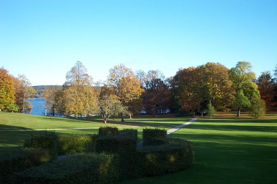 Bild 1472.webp