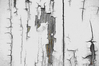 holzpeel4web.jpg