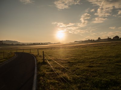 20140625-P7100-028.jpg