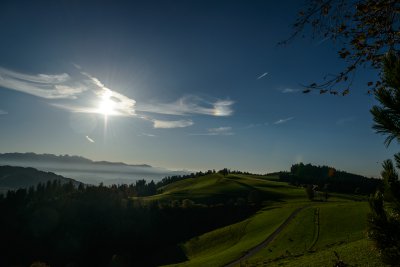 20141101-D800E-038.jpg