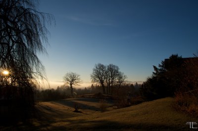 _IGP7768.jpg