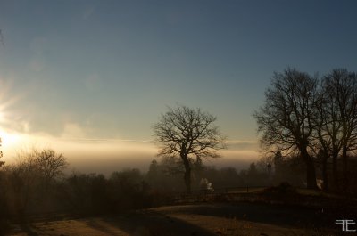 _IGP7772.jpg