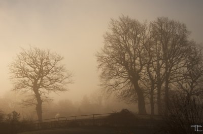 _IGP7781.jpg