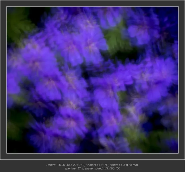 bild-01.webp